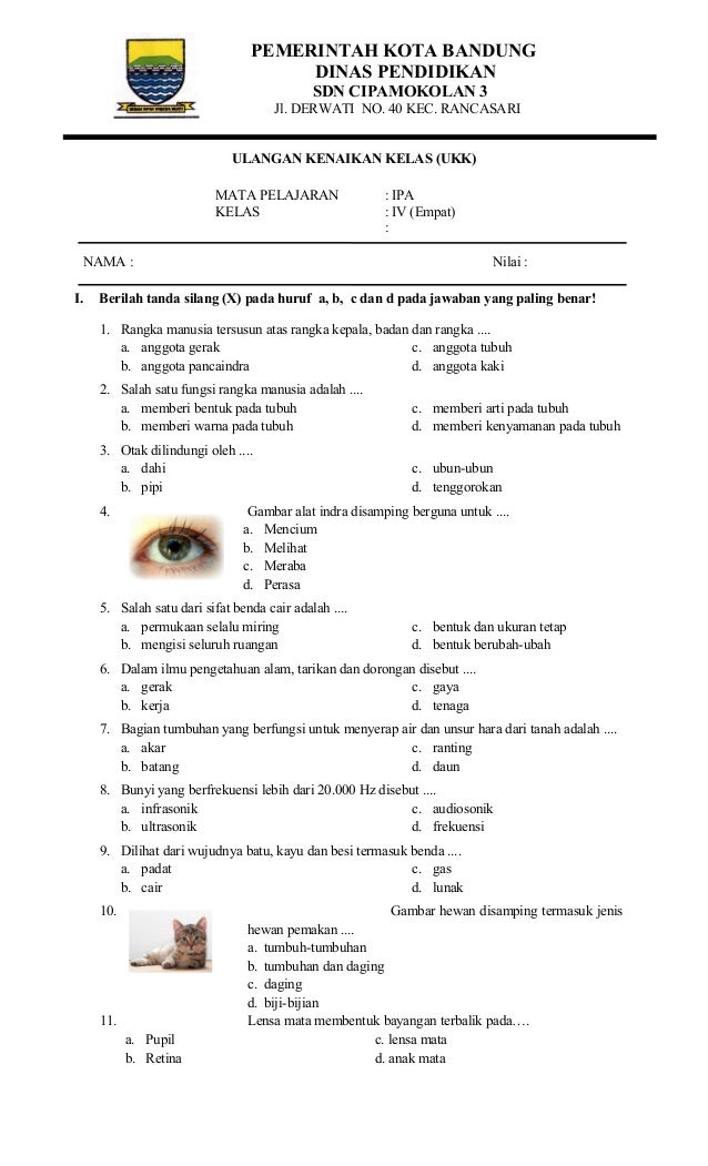 Soal Ipa Kelas 4 Sd - Piffle me