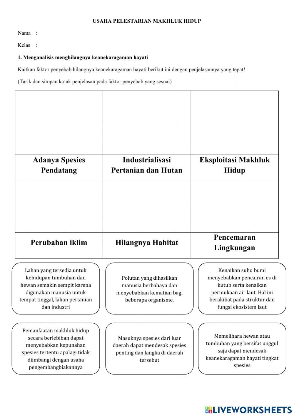 LKS Usaha peles Free Interactive Worksheets 1510745