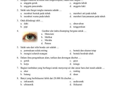 Bocoran 15 Contoh Soal IPA Kelas 4 Tema 8 yang Sering Muncul di Ujian Sekolah Tahun 2026