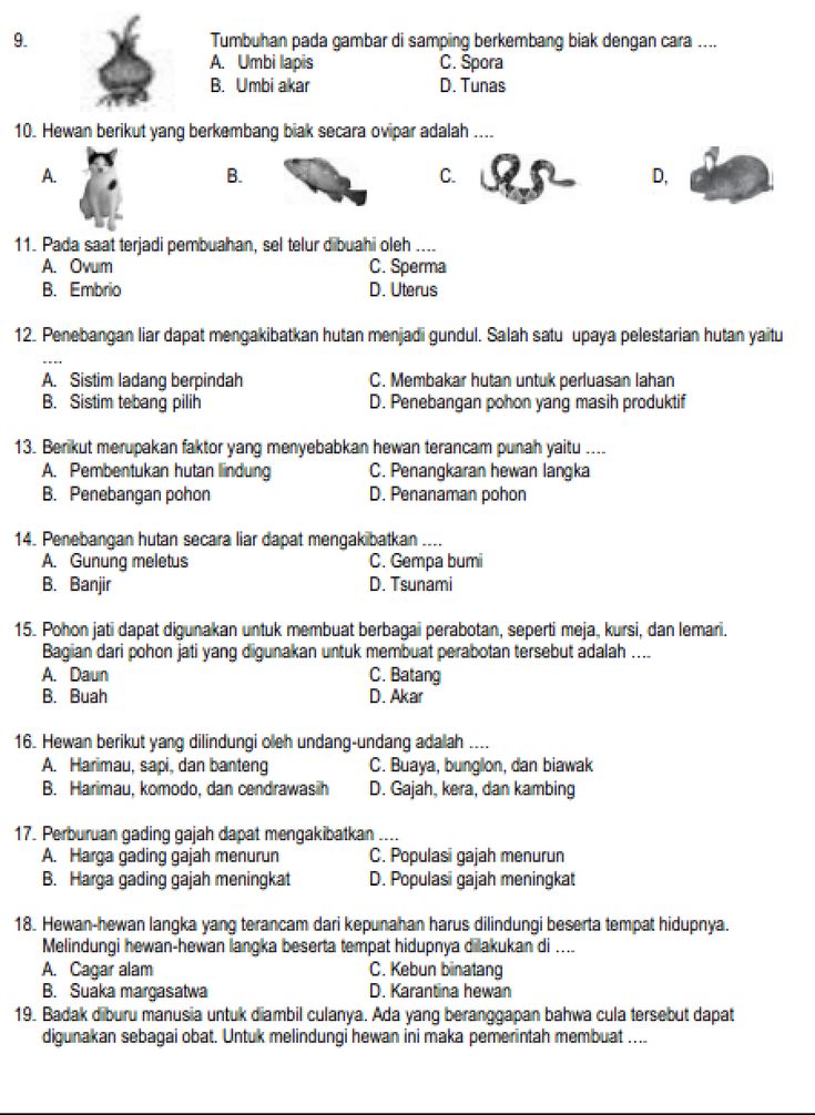 Soal Ipa Kelas 5 Semester 2 Dan Kunci Jawaban 2022 Dalchaebi
