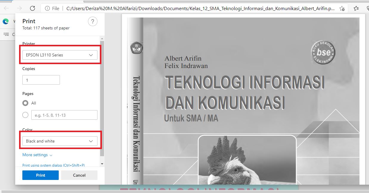 3 Cara Print Hitam Putih Menggunakan Printer Epson Canon - Neicy Techno