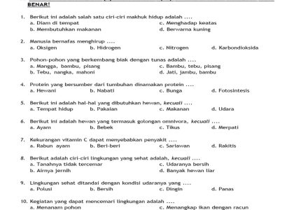 5 Contoh Kisi-Kisi Soal IPA Kelas 2 SD yang Wajib Diketahui Agar Anak Siap Hadapi Ujian
