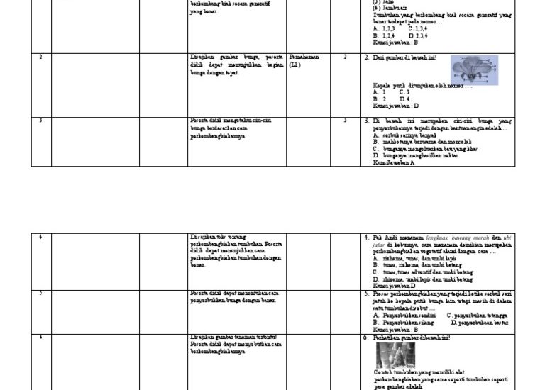 Ternyata Begini Contoh Kisi Kisi Soal KTSP Kelas 3 Semester 2 yang Sering Keluar di Ujian, Wajib Tahu Sebelum Terlambat!